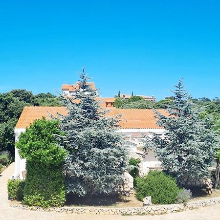 Lavender House Villa Mandre Kültér fotó